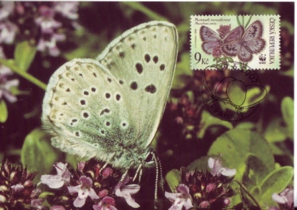 CM 041 A / 044 A - WWF malé razítko ● - 2002